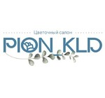 Pion_39