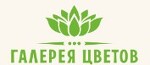 Галерея цветов