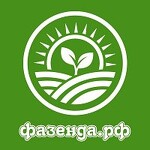 Фазенда.рф