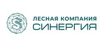 Синергия