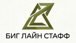 ООО Биг Лайн Стафф