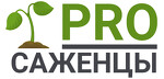 Питомник Просаженцы