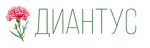 Цветы Диантус