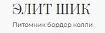 Питомник бордер колли Элит шик