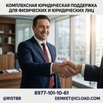 Профессиональный юрист