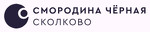 Чёрная Смородина Сколково